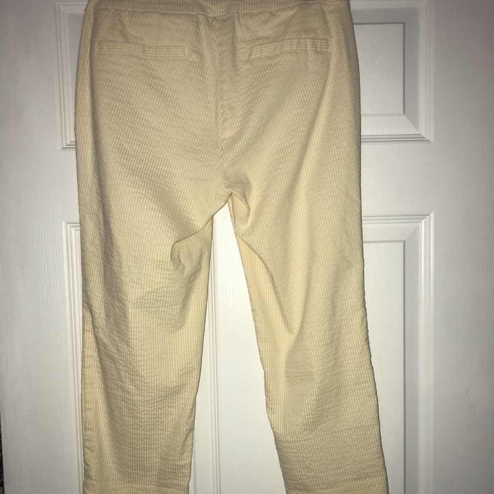 Capris! - Picture 2 of 2
